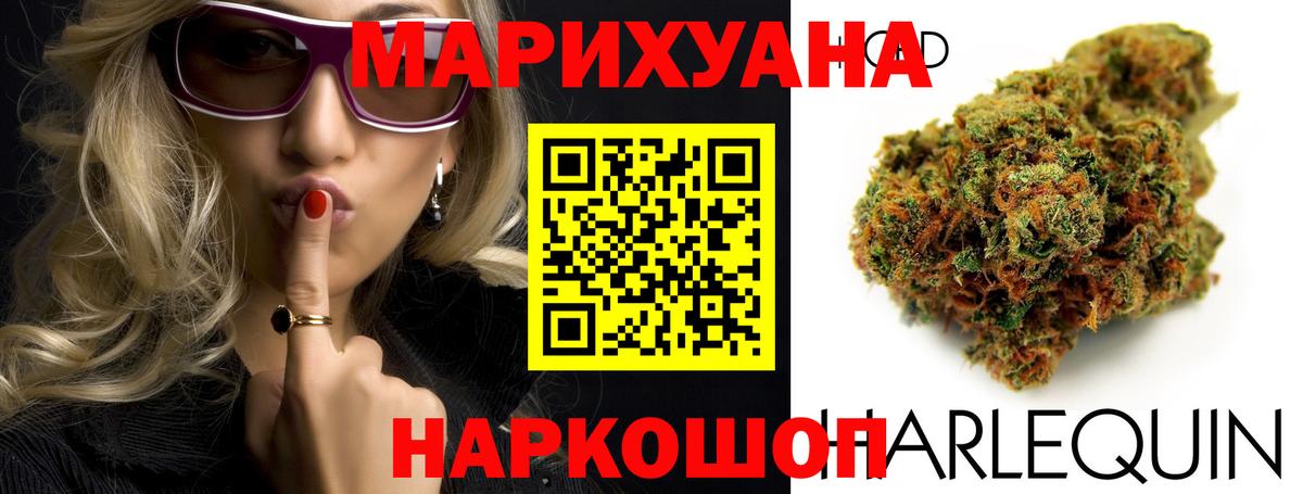 Каннабис ГИДРОПОН Рассказово